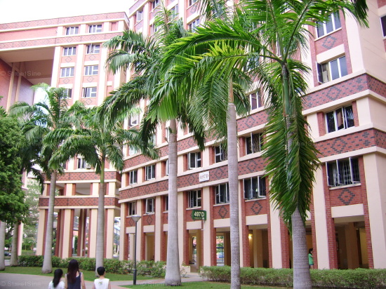 Blk 497D Tampines Street 45 (Tampines), HDB Executive #103982